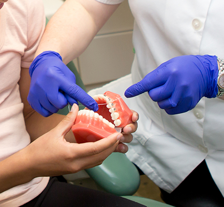 Oral Hygiene & Exams, Winnipeg Dentist